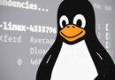 Linux l’alternativa a Windows